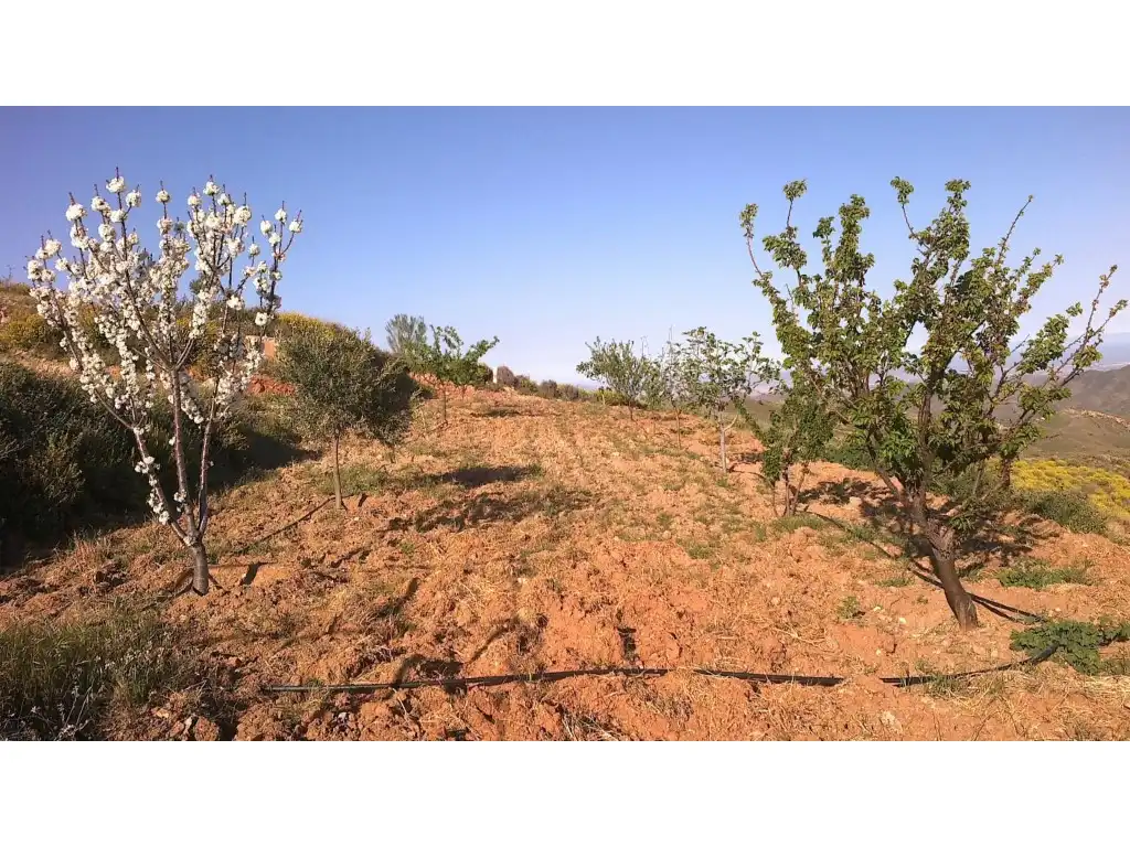 Casa o xalet en venda a del Hinojo a los Jerales, Lubrín