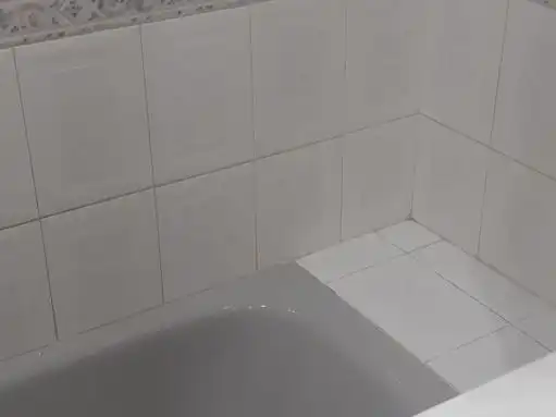 Bathroom of Flat for rent in Centro Internacional