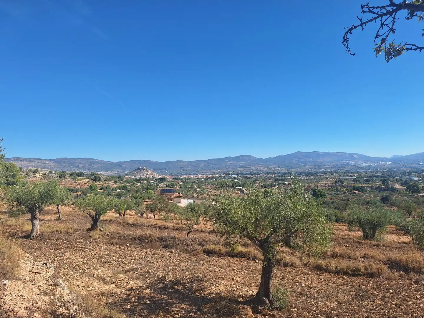 Rural land for sale in Castalla, imagen 8