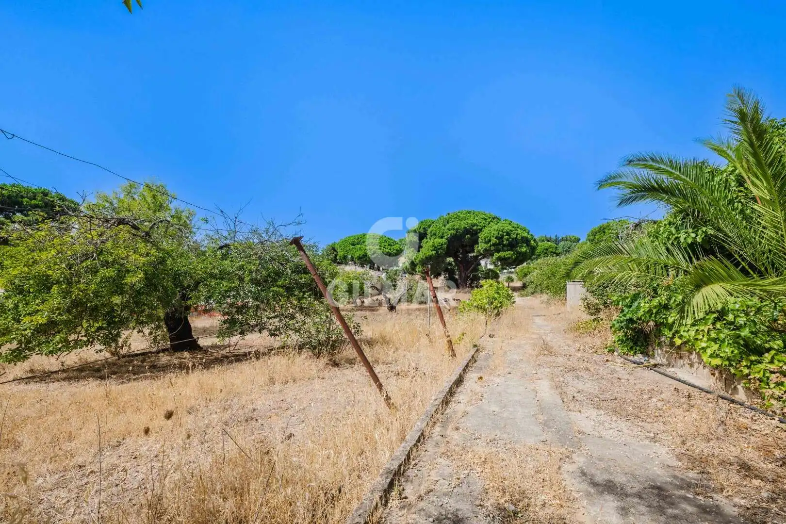 Xalet amb piscina en venda a Los Franceses – La Vega, imagen 33