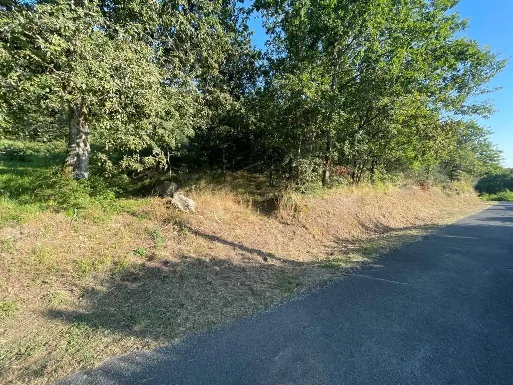 Residential for sale in O Pereiro de Aguiar