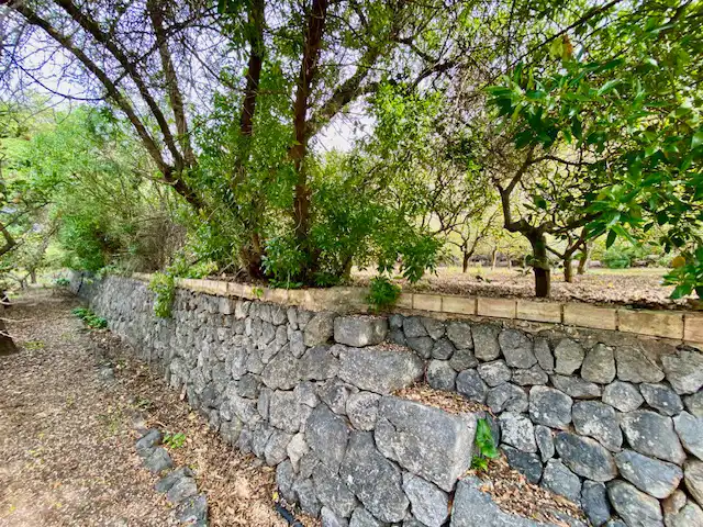 House with balcony for sale in Sóller, imagen 12