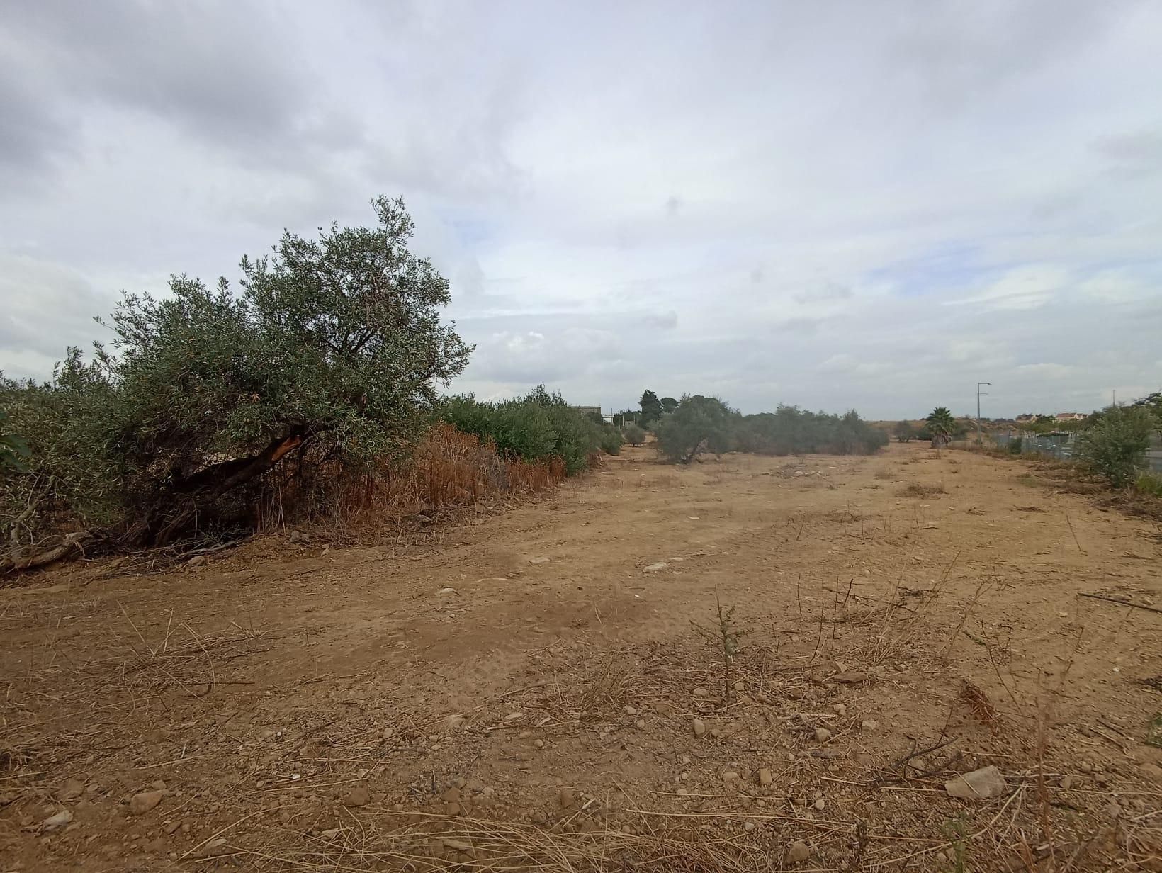 Grundstücke zum verkauf in Tomares