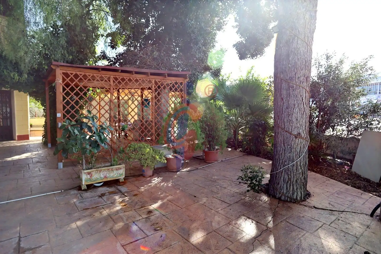 Garten von Fabrikhallen zum Verkauf in Daya Nueva