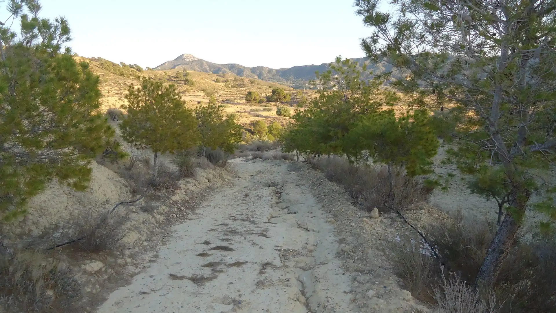 Lands and plots for sale in Abanilla, imagen 7
