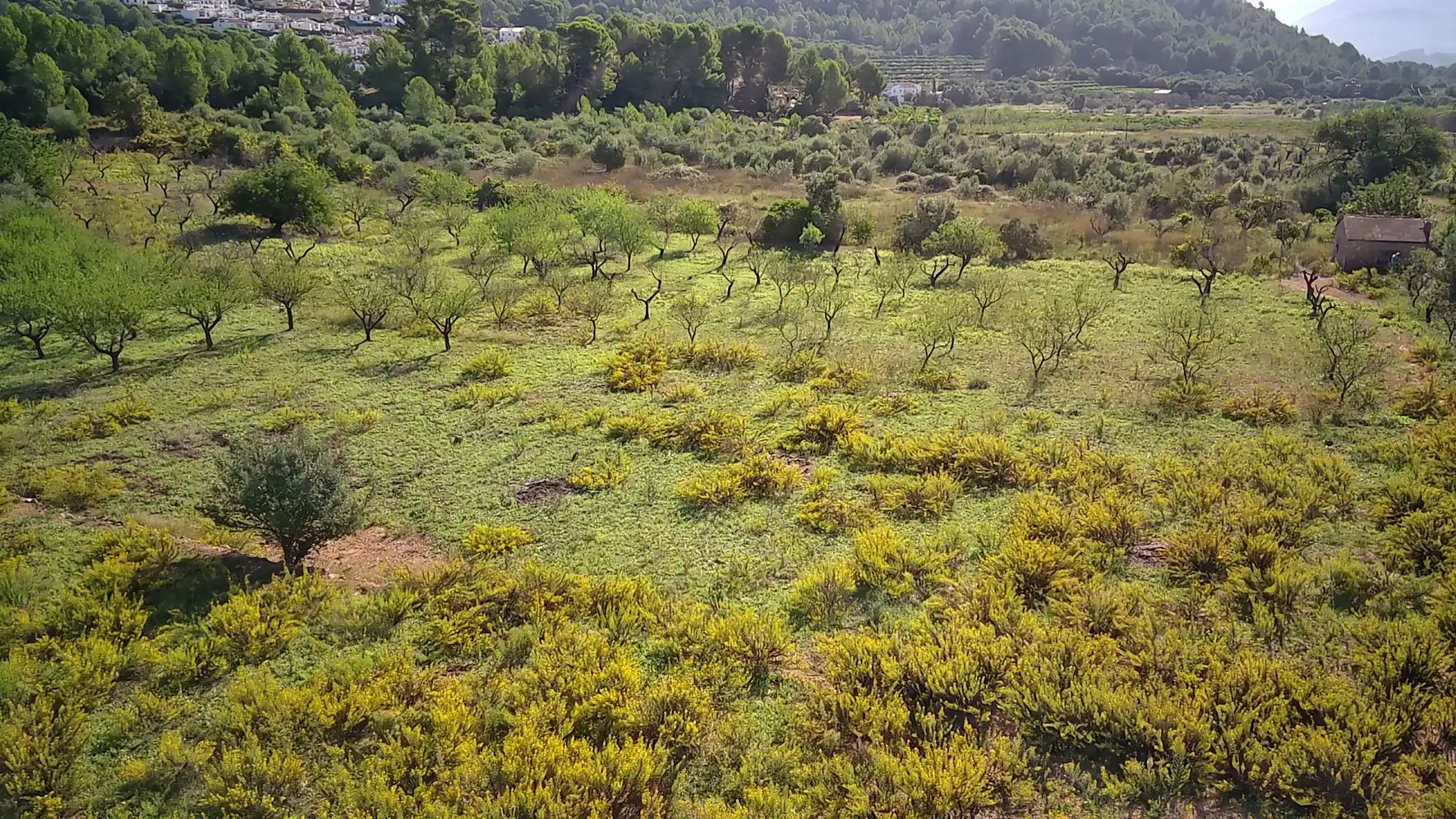 Terreny residencial en venda a Murla, imagen 4