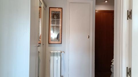 Photo 5 of Flat to rent in Sauce, Hispanoamérica - Bernabéu,  Madrid Capital