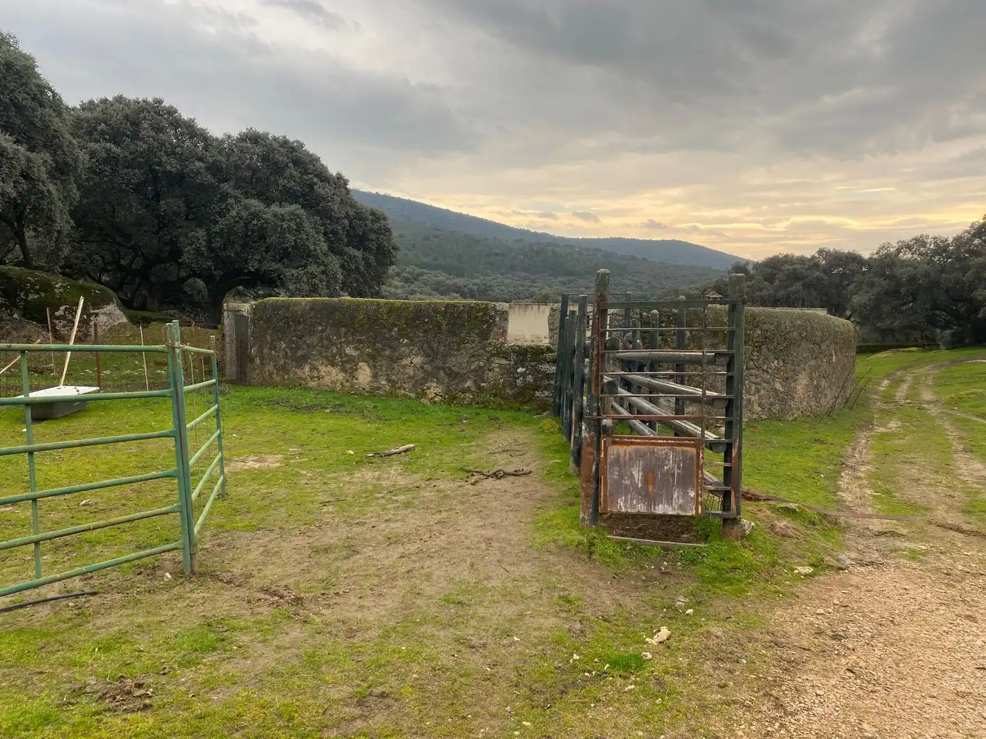 Terreno en venta en Navamorcuende