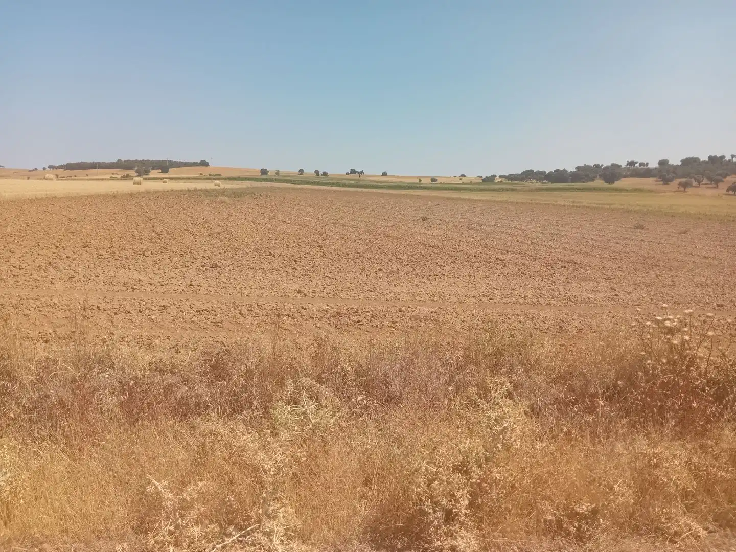 Terreno en venta en Moreruela de Tábara