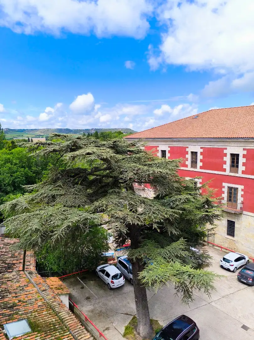 Exterior view of Flat for sale in Palencia  with Heating, Parquet flooring and Terrace