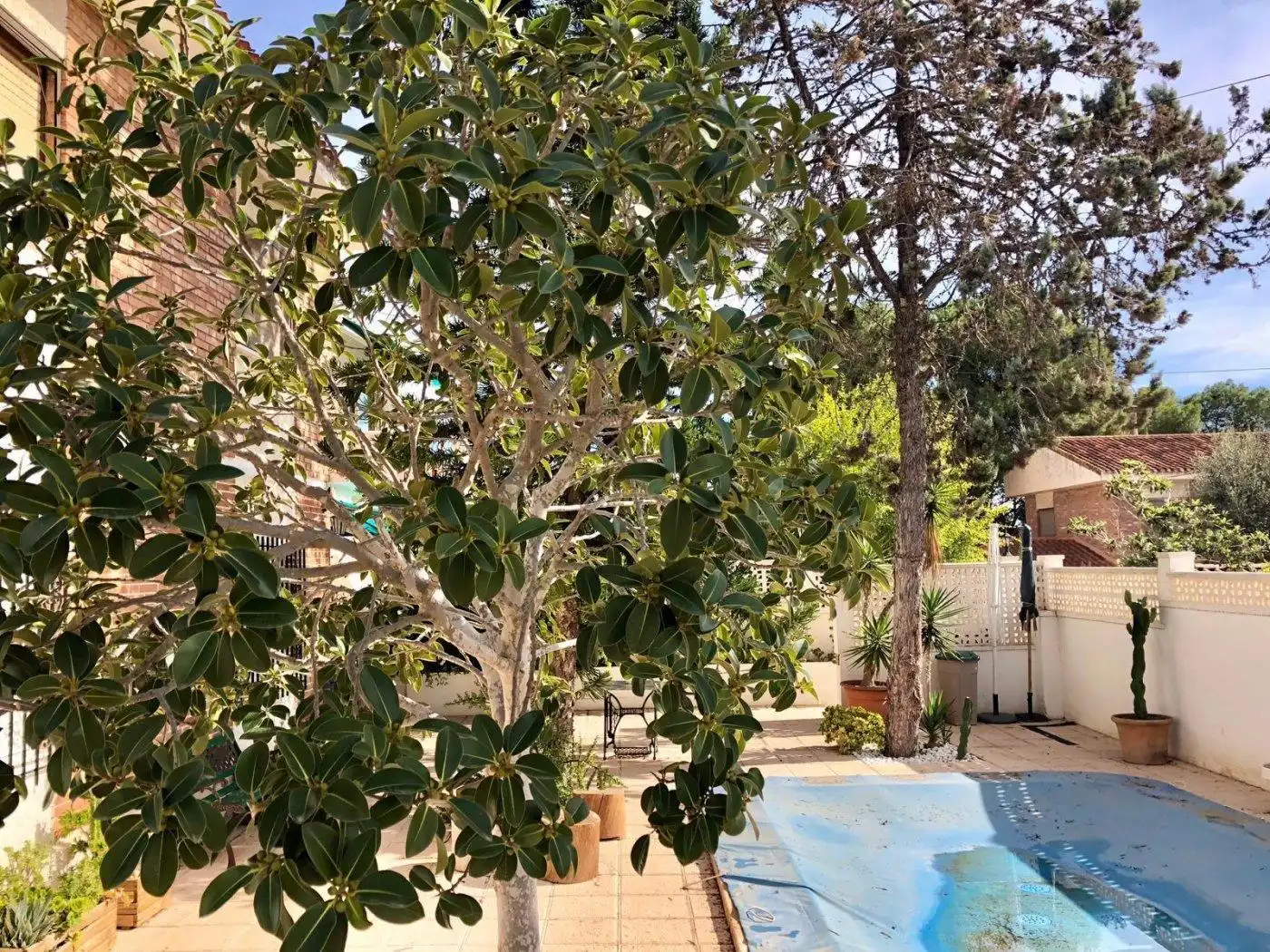 Jardín de Casa adosada en venta en Pilar de la Horadada con Calefacción, Jardín privado y Trastero