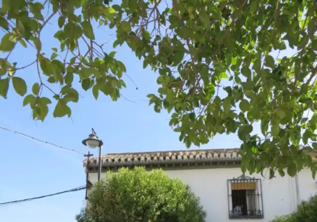 Vista exterior de Piso en venta en Valderrubio, Granada
