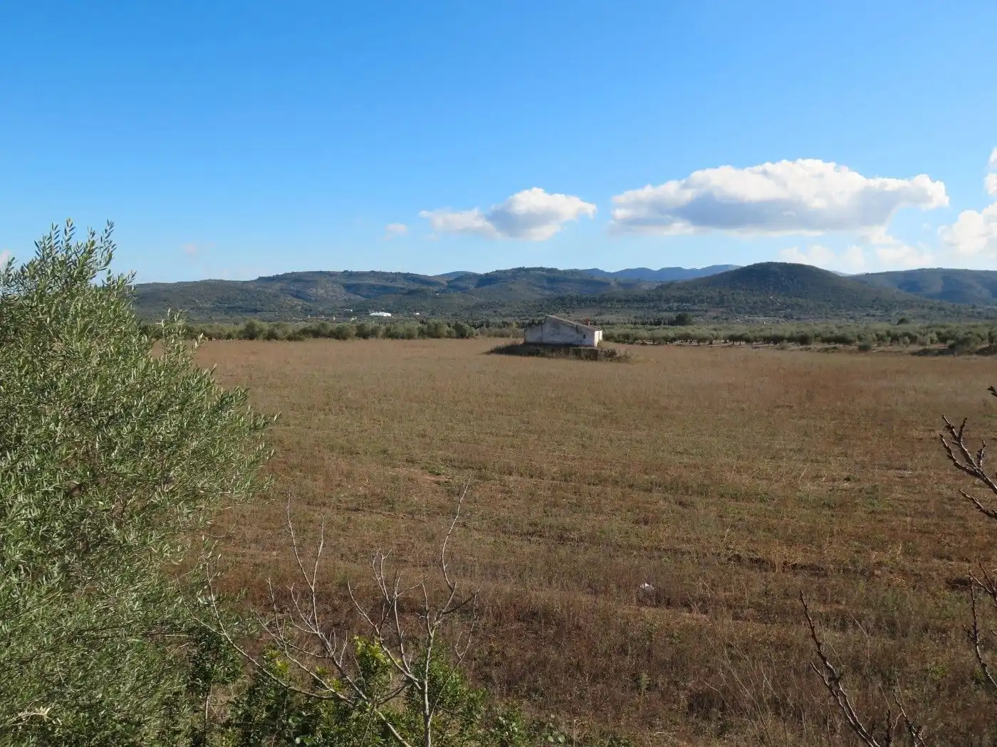 Terreno rustico in vendita a Godall, imagen 23