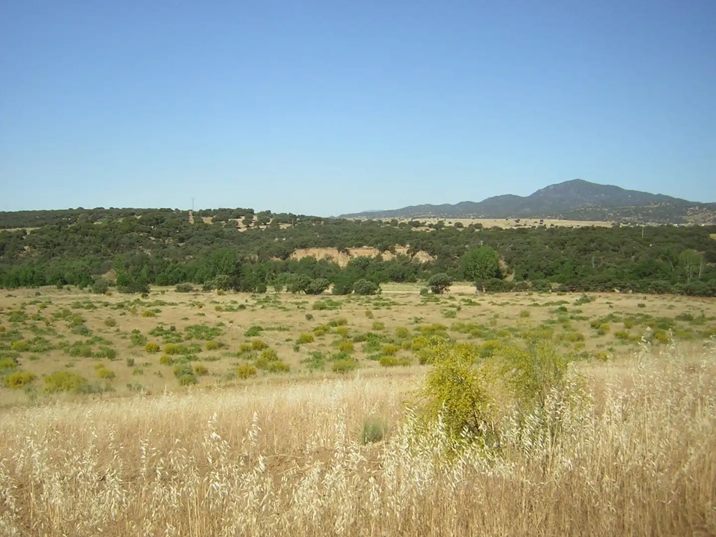 Rural land for sale in Almorox, imagen 2