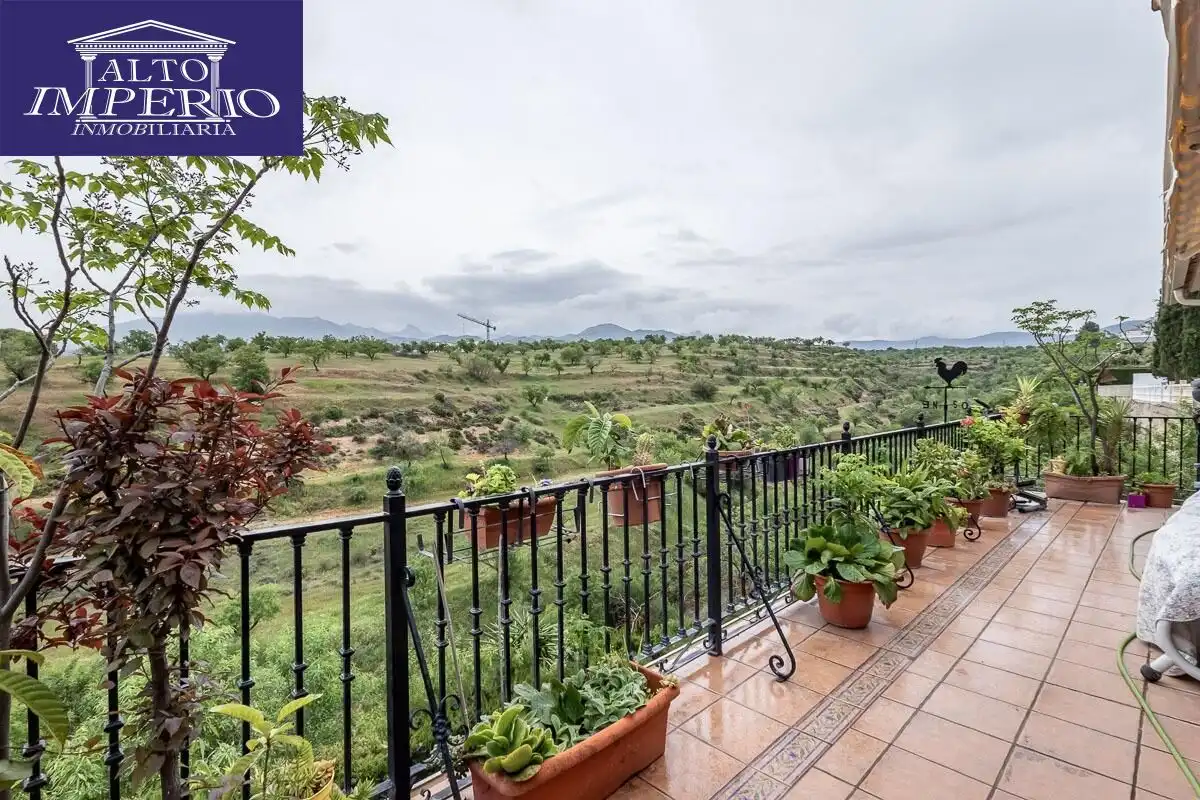 Detached house with terrace for sale in Calle Calle Sauce, imagen 40