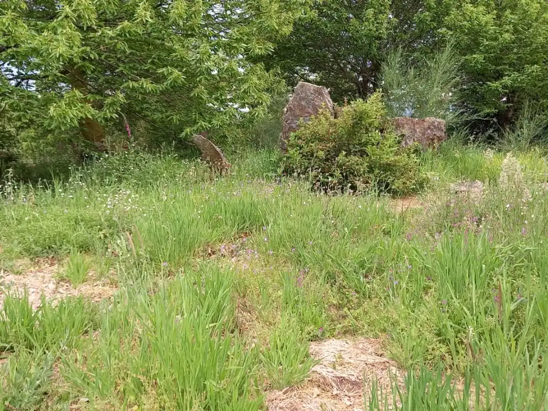 Terreno en venta en Forcarei
