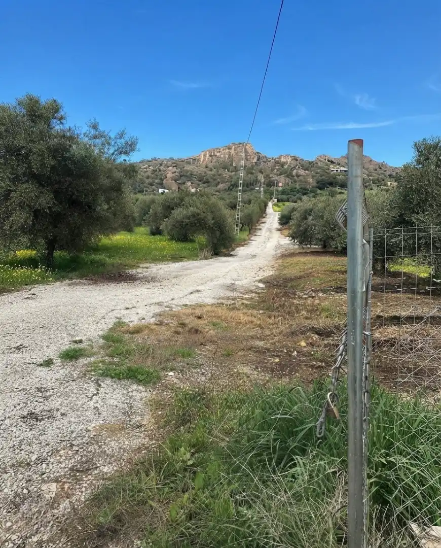 Terreni e lotti in vendita a Diseminado Poligono, imagen 13