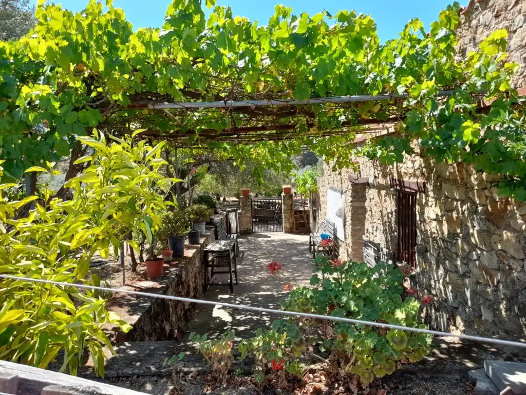 Jardí de Casa o xalet en venda en San Vicente de Alcántara
