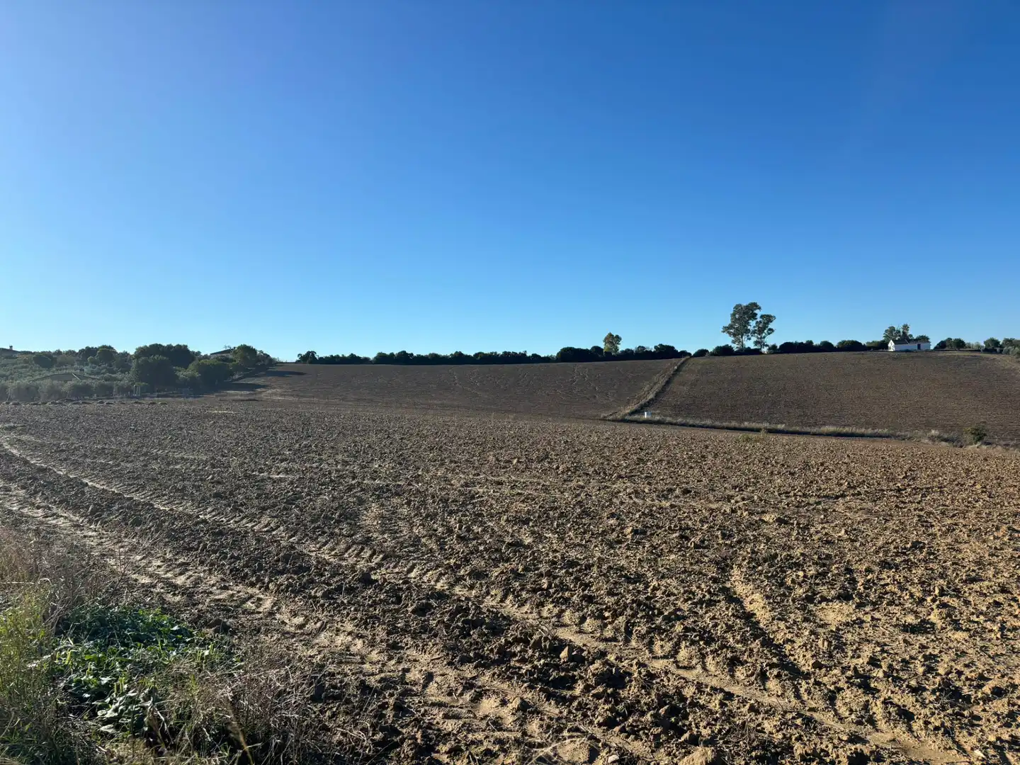 Terreny en venda en Arcos de la Frontera