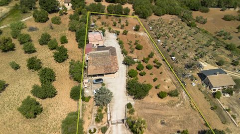 Foto 3 de Finca rústica en venta en Selva, Illes Balears