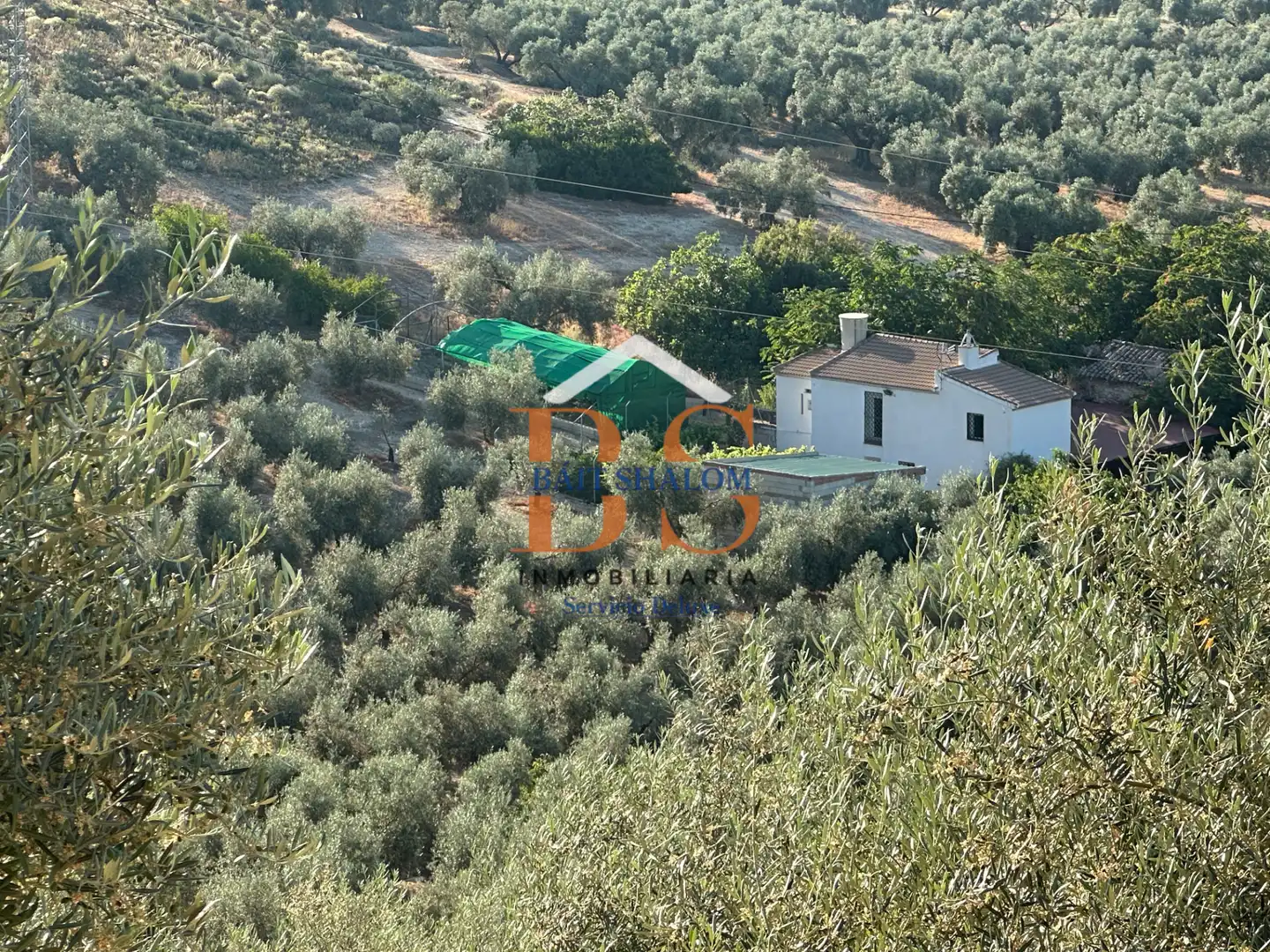 Terreni e lotti in vendita a Archidona, imagen 2
