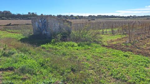 Foto 2 de Residencial en venta en Santa Margalida Poble, Illes Balears