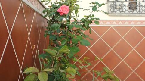 Foto 4 de Casa o chalet en venta en Hernando de Luque, 43, Olvera, Cádiz