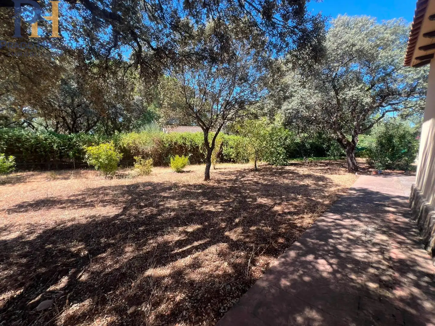 Villa mit Garten zum Verkauf in San Román de los Montes, imagen 45