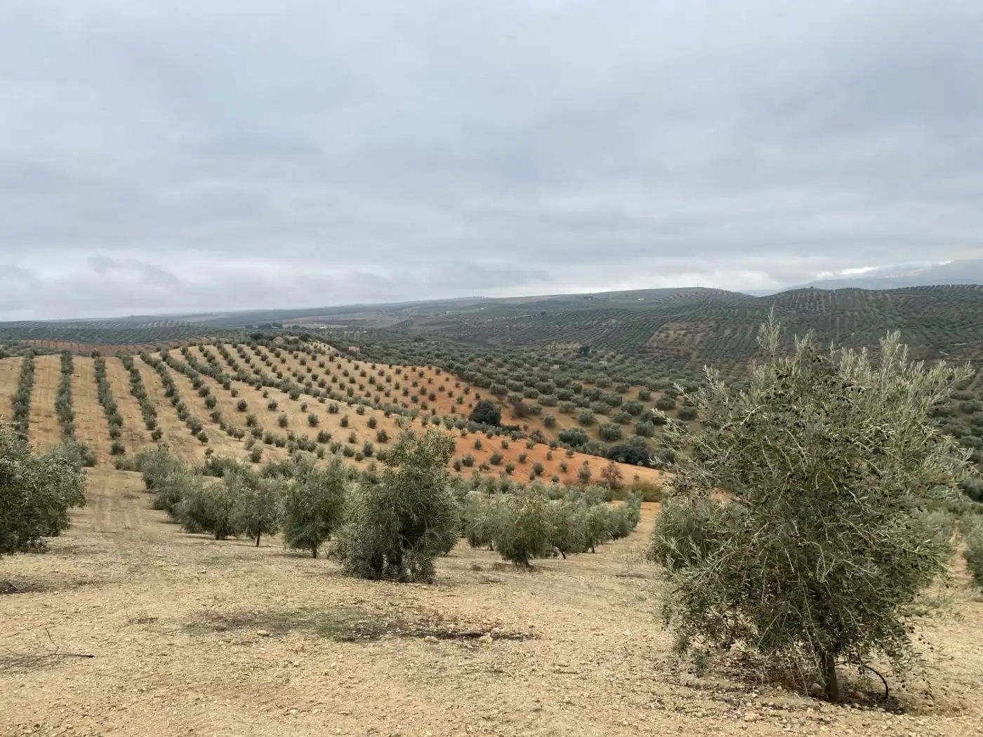 Casa rustica in vendita a Huétor Tájar, imagen 17