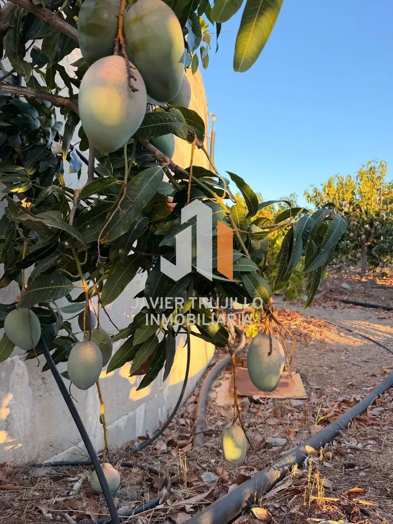 Country house for sale in Vélez-Málaga ciudad, imagen 30