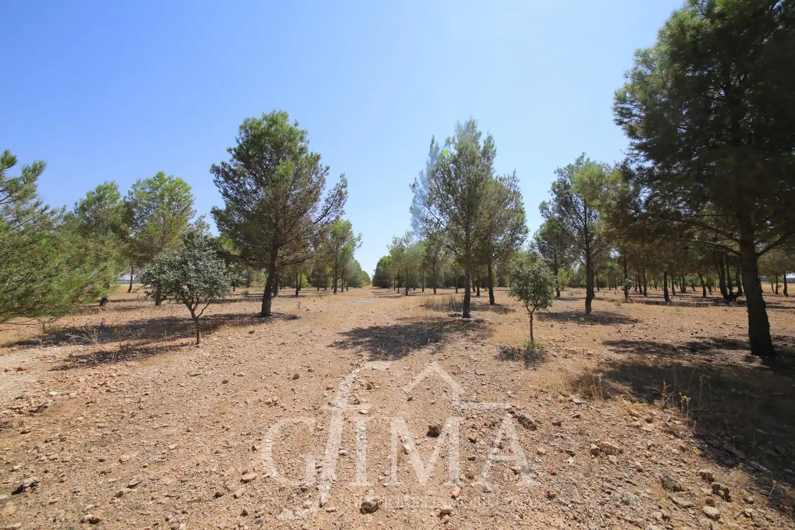Chalet en venta en Tomelloso, imagen 54