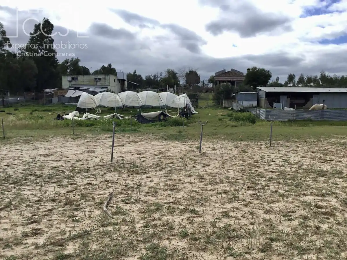 Casa rústica con piscina en venta en Almonte ciudad, imagen 27