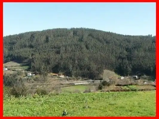 Terrenys i solars en venda a Lugar folgueiras 4