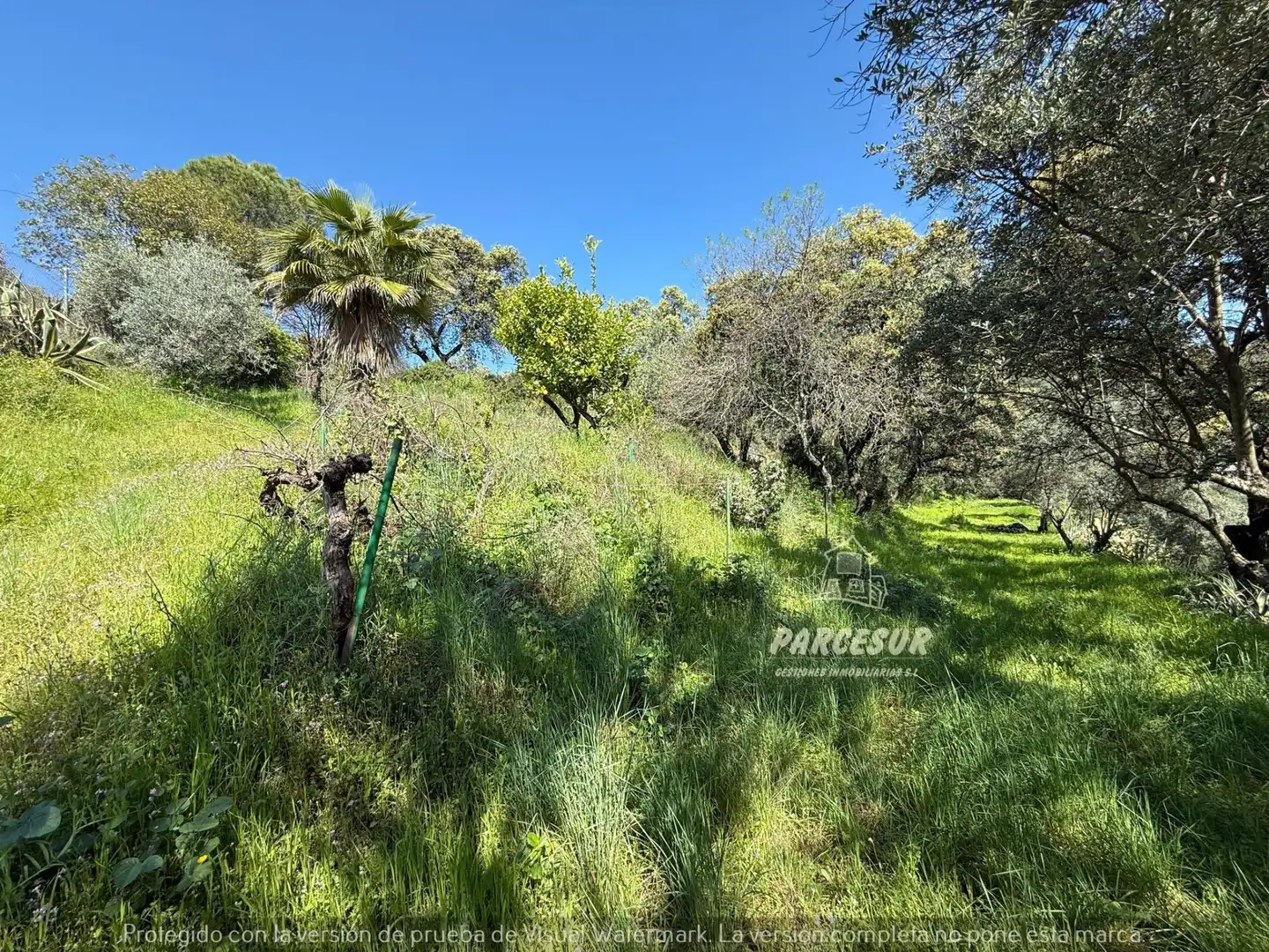 Finca rústica en venda en Córdoba amb Jardí privat i Traster