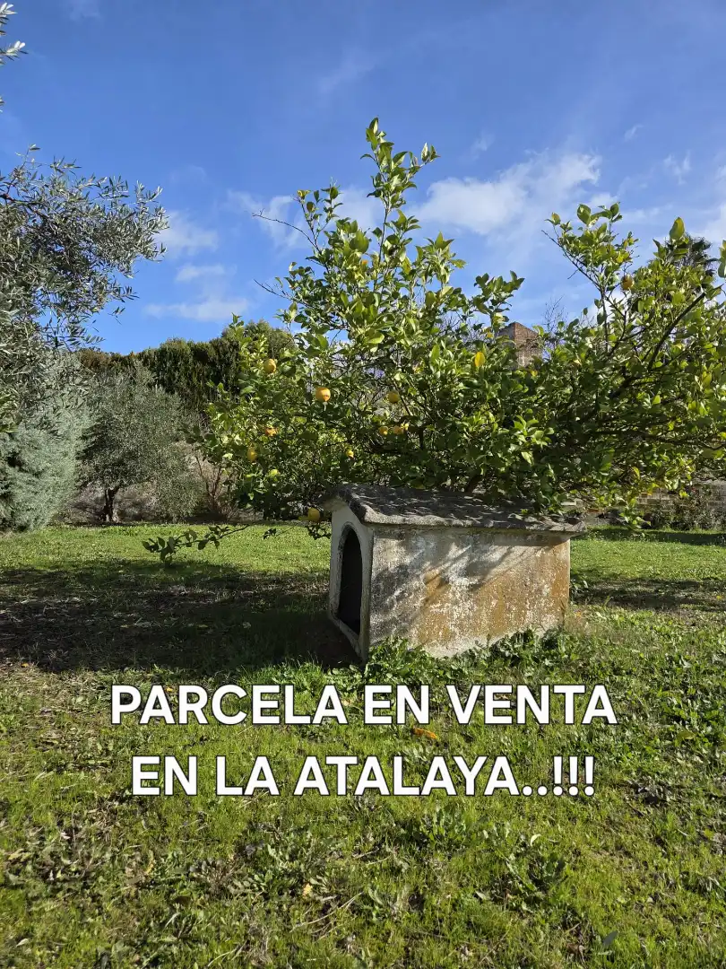 Garden of Houses for sale in Badajoz  with Private garden, Terrace and Storage room