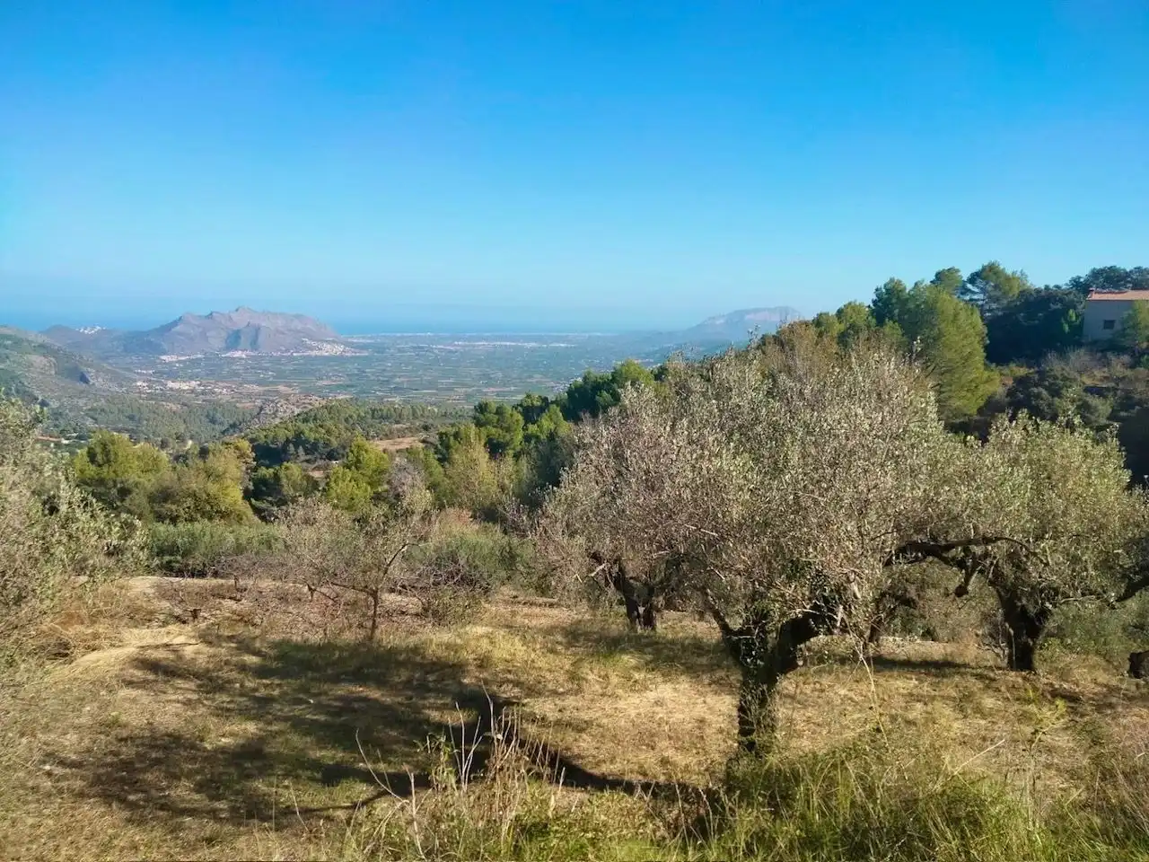Detached house with pool for sale in La Vall de Laguar, imagen 8