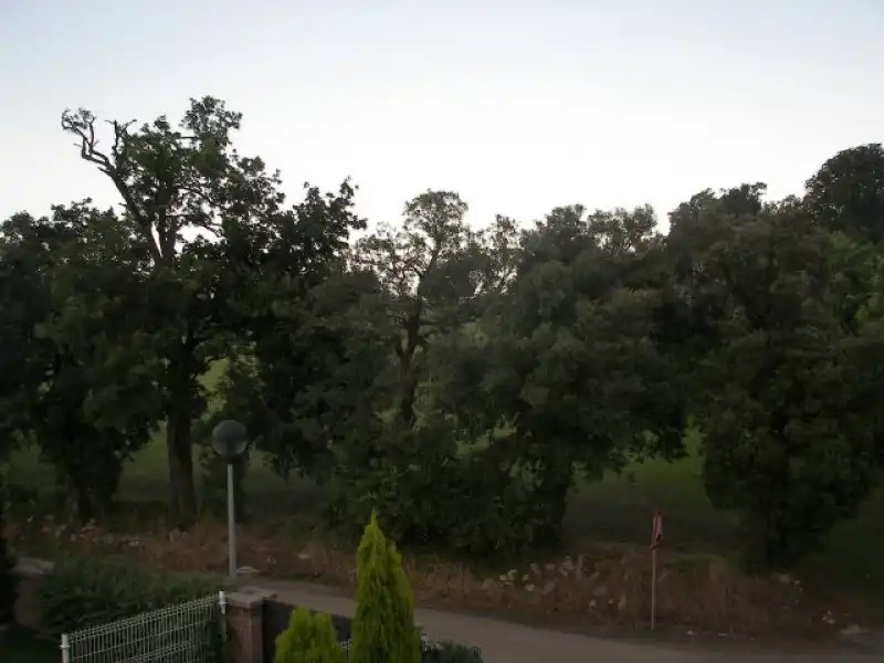 Xalet en venda a Marina de Cudeyo, imagen 33