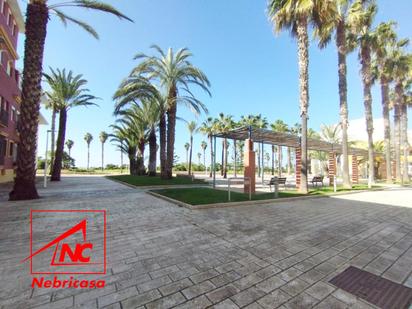 Exterior view of Flat for sale in Rota  with Terrace and Swimming Pool