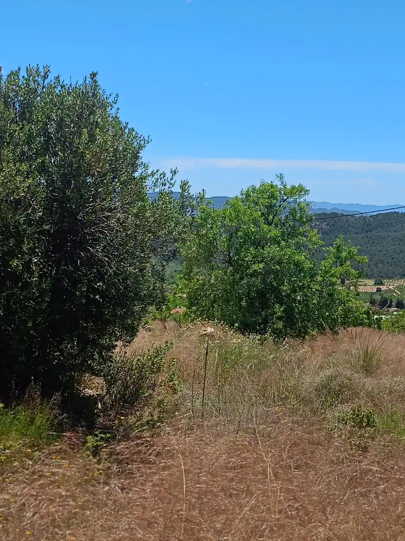 Terreni e lotti in vendita a Pedanías Norte, imagen 6