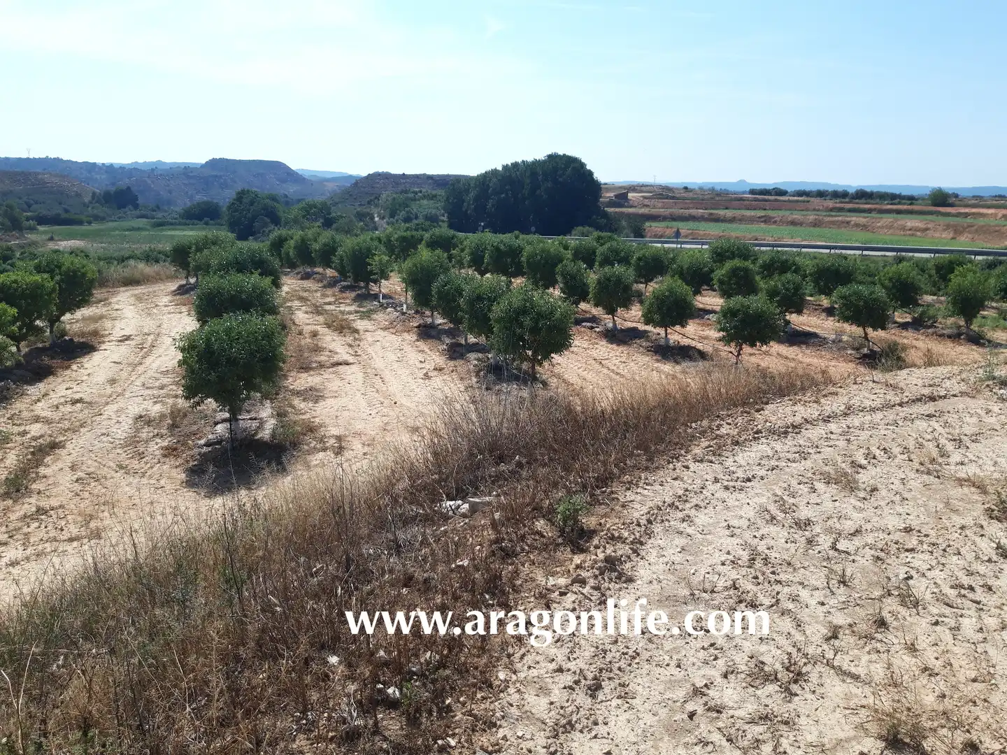 Finca rústica en venta en Caspe con Amueblado