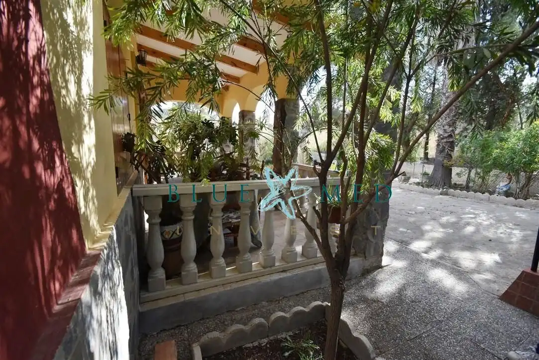 Vista exterior de Casa o chalet en venta en Ricote con Calefacción, Jardín privado y Terraza