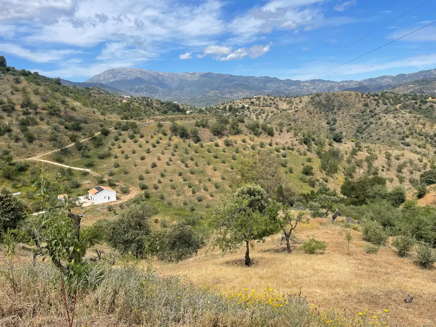 Vista exterior de Terreno en venta en Guaro