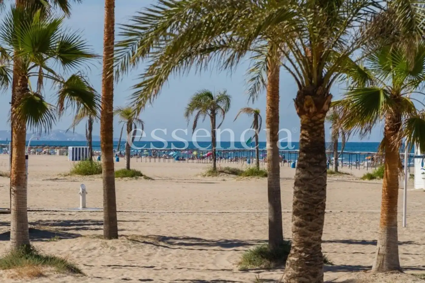 Vista exterior de Apartamento en venta en Gandia con Jardín privado, Terraza y Balcón