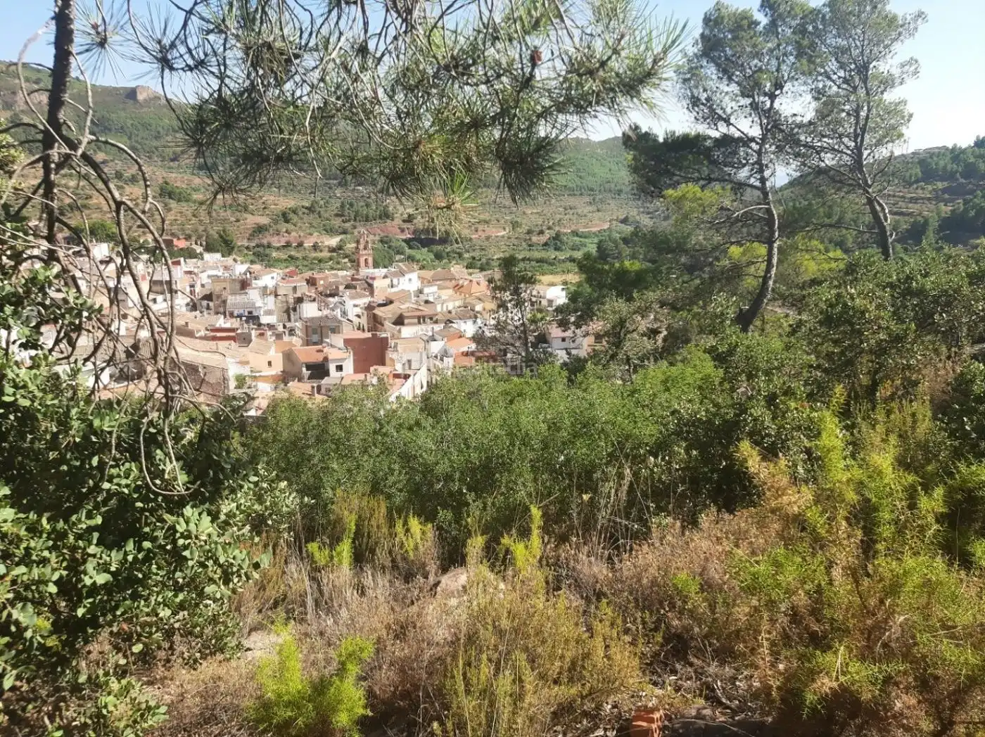 Rural land for sale in Calle Vista Alegre 14, imagen 12