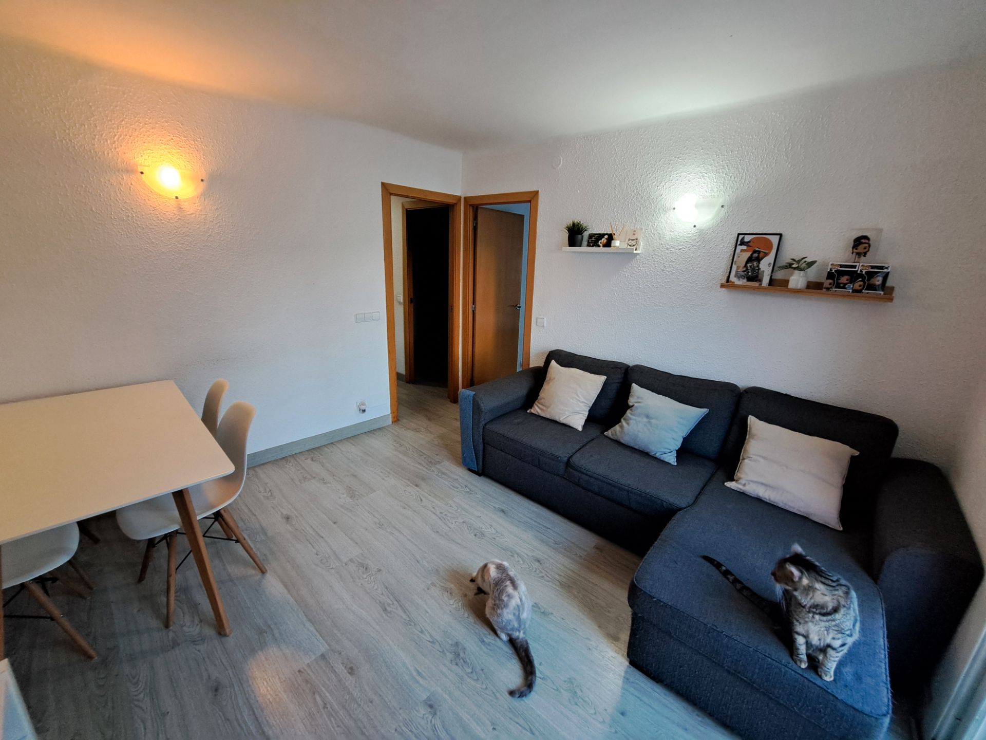 Pis en venda a Cirera