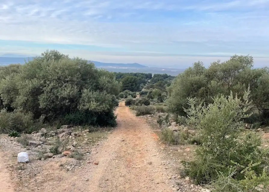 Casa o chalet en venta en Mollina, Málaga