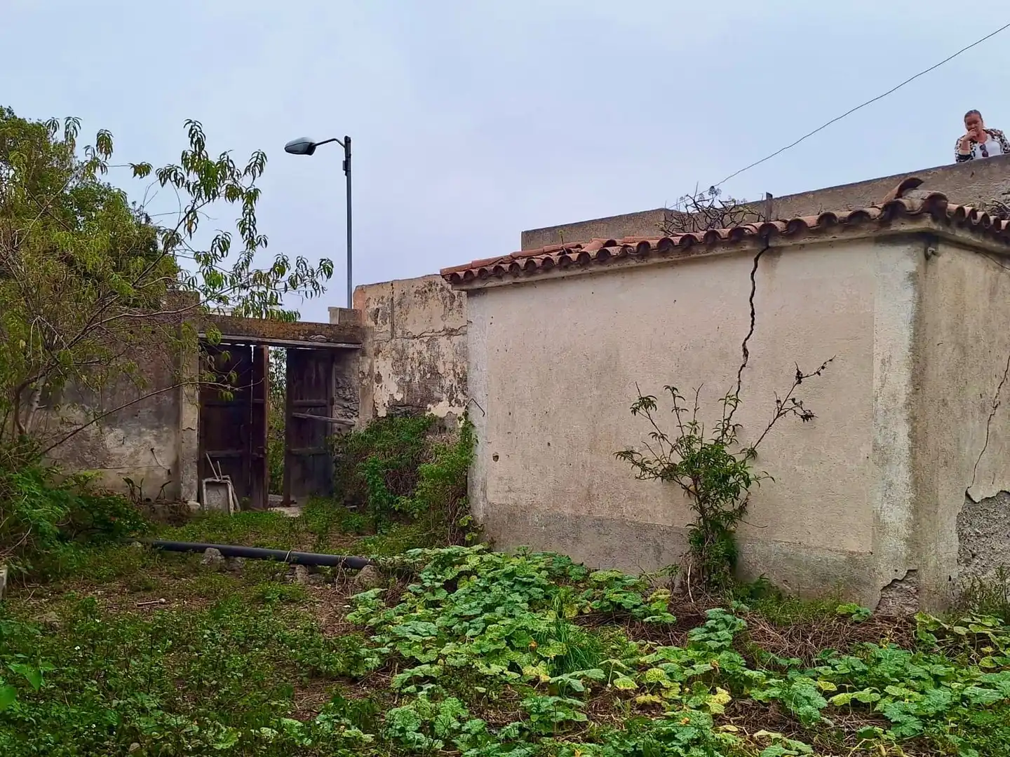 Finca rústica en venda en Icod de los Vinos