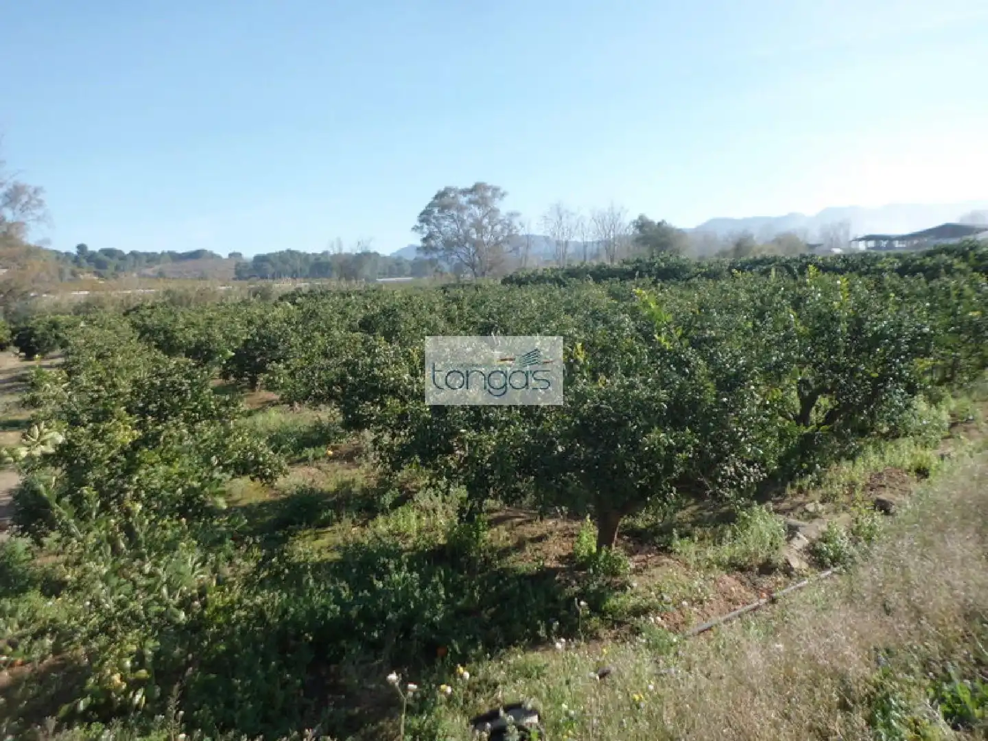 Terreno en venta en Llocnou d'En Fenollet