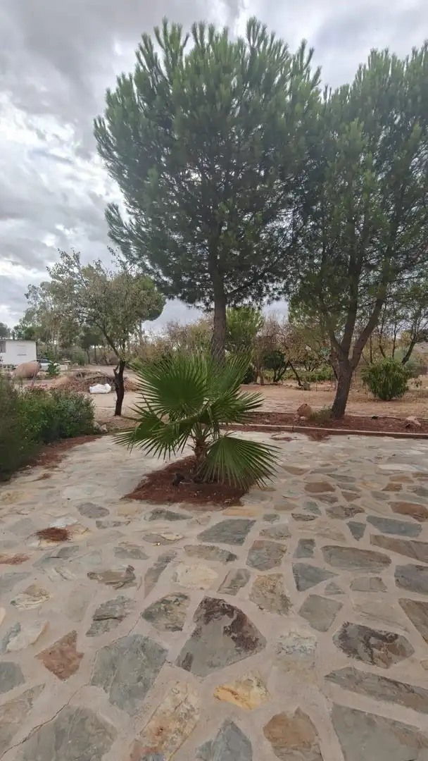 Jardí de Finca rústica en venda en Toledo