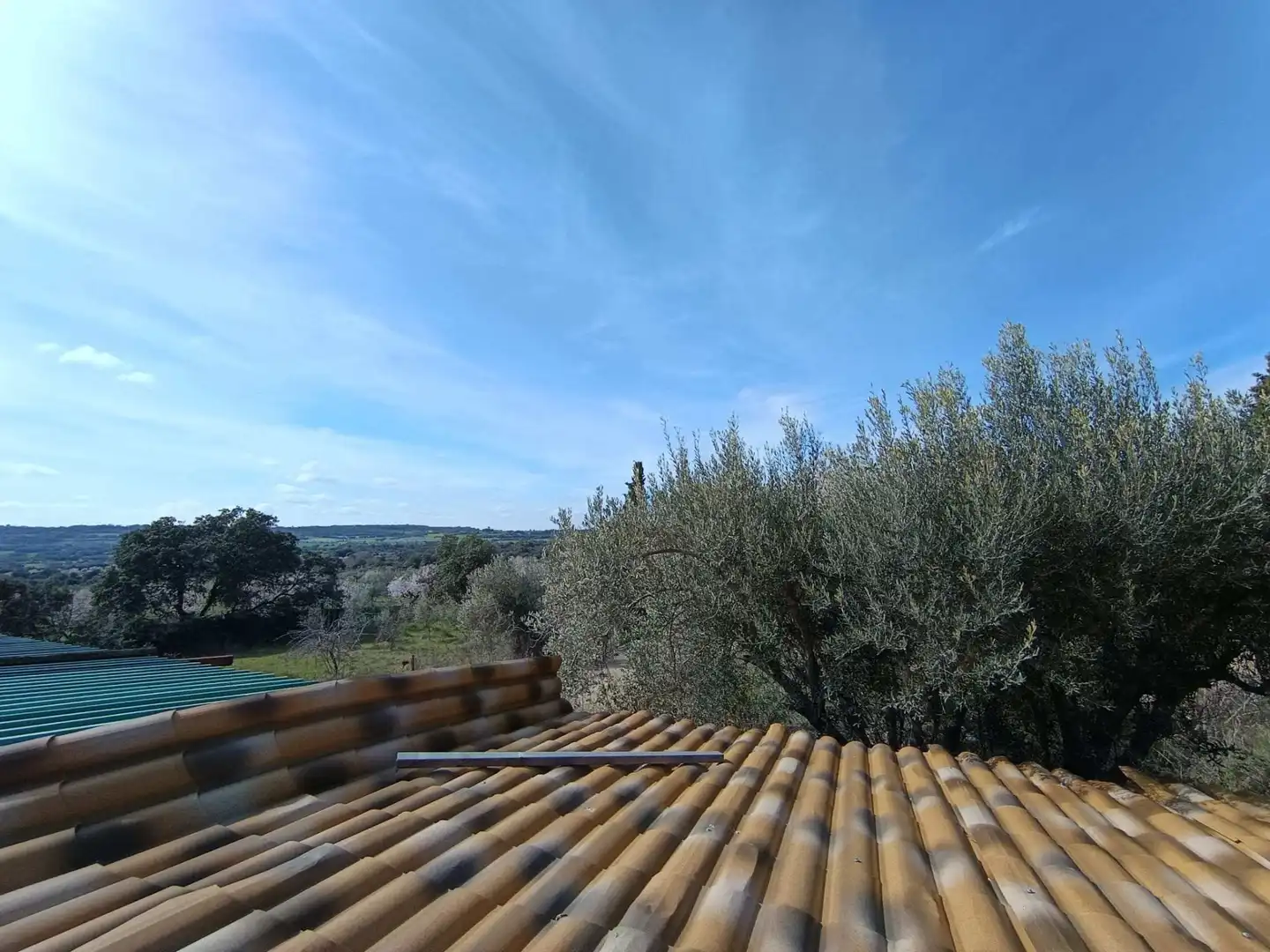 Vista exterior de Casa o xalet en venda en Alquézar amb Jardí privat